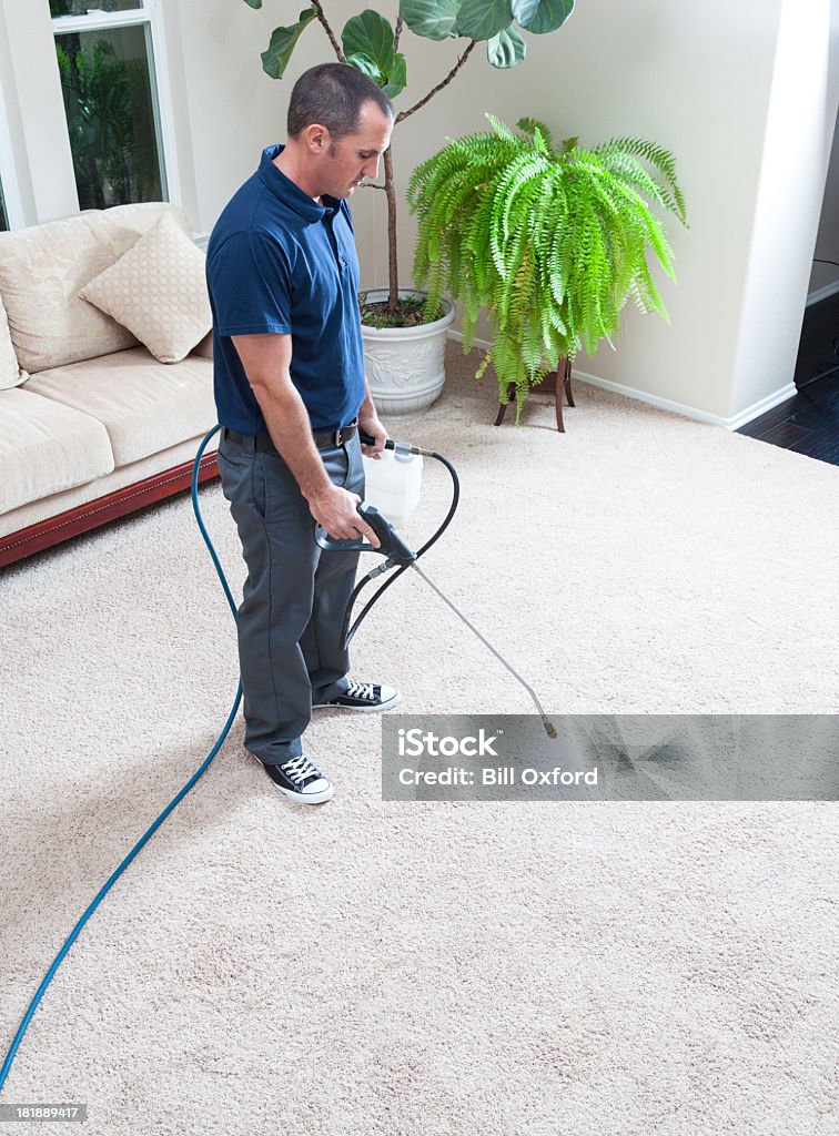 Professional Carpet Cleaning Services